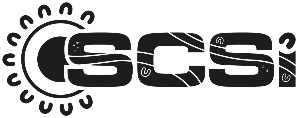 SCSI